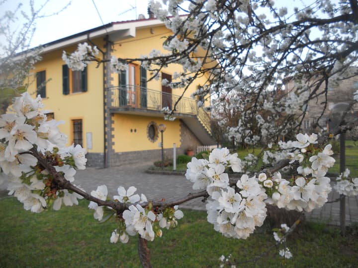B&B Pervinca