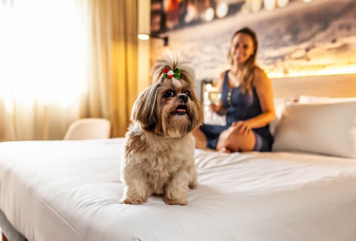 Novotel Curitiba Batel