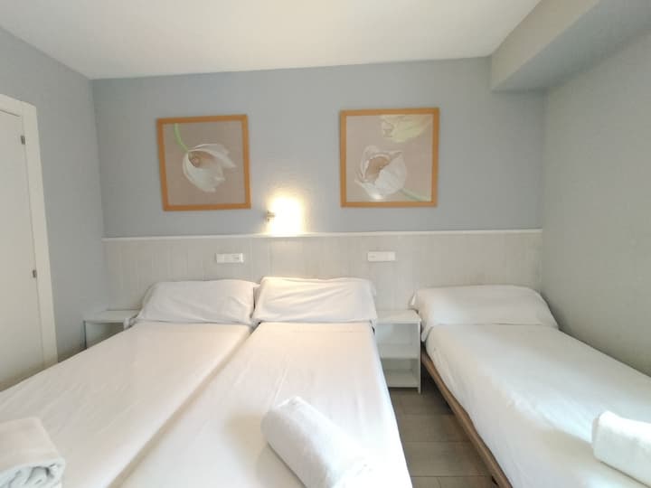 Hostal Albero by gaiarooms
