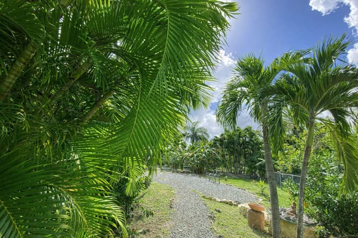 The Greenside Cottages - Private Tropical Garden - Residential area 5 mins from the beach