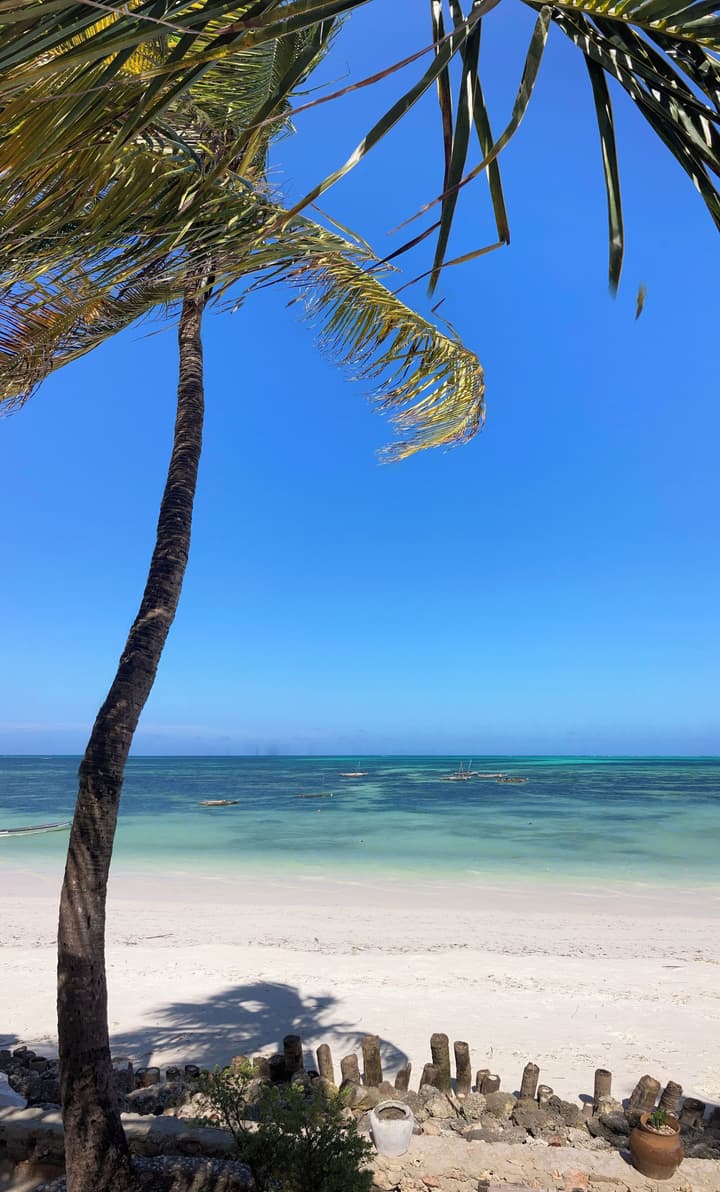 Mango Beach house