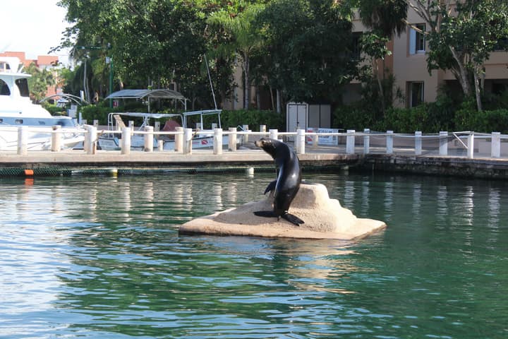 Estudio cerca del mar, en Puerto Aventuras 201