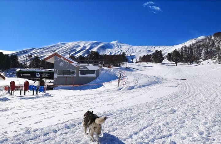 B&B Boutique di Charme Etna-Relax-Natura