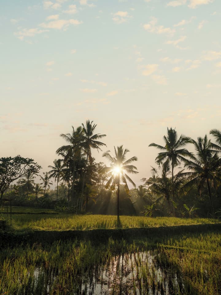 Capella Ubud, Bali