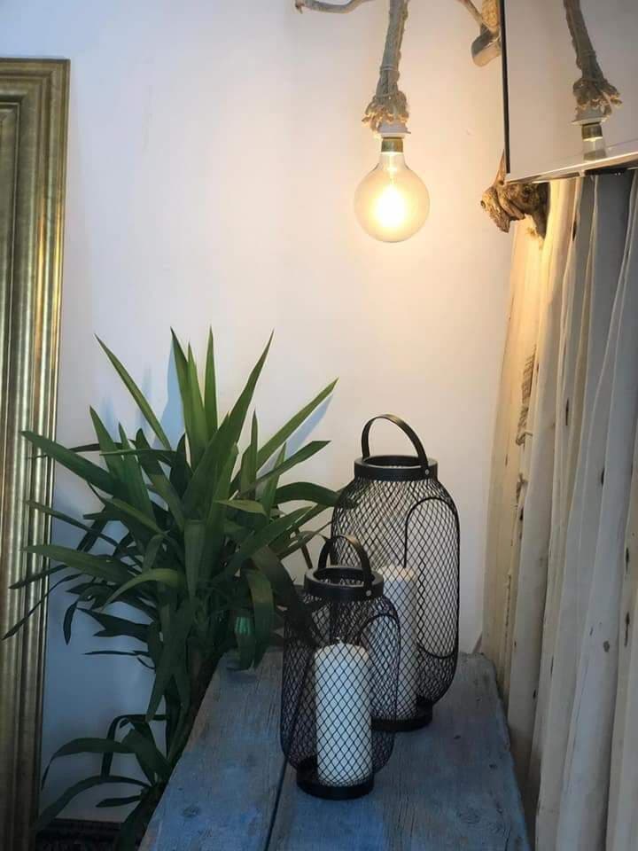 Cactus Host