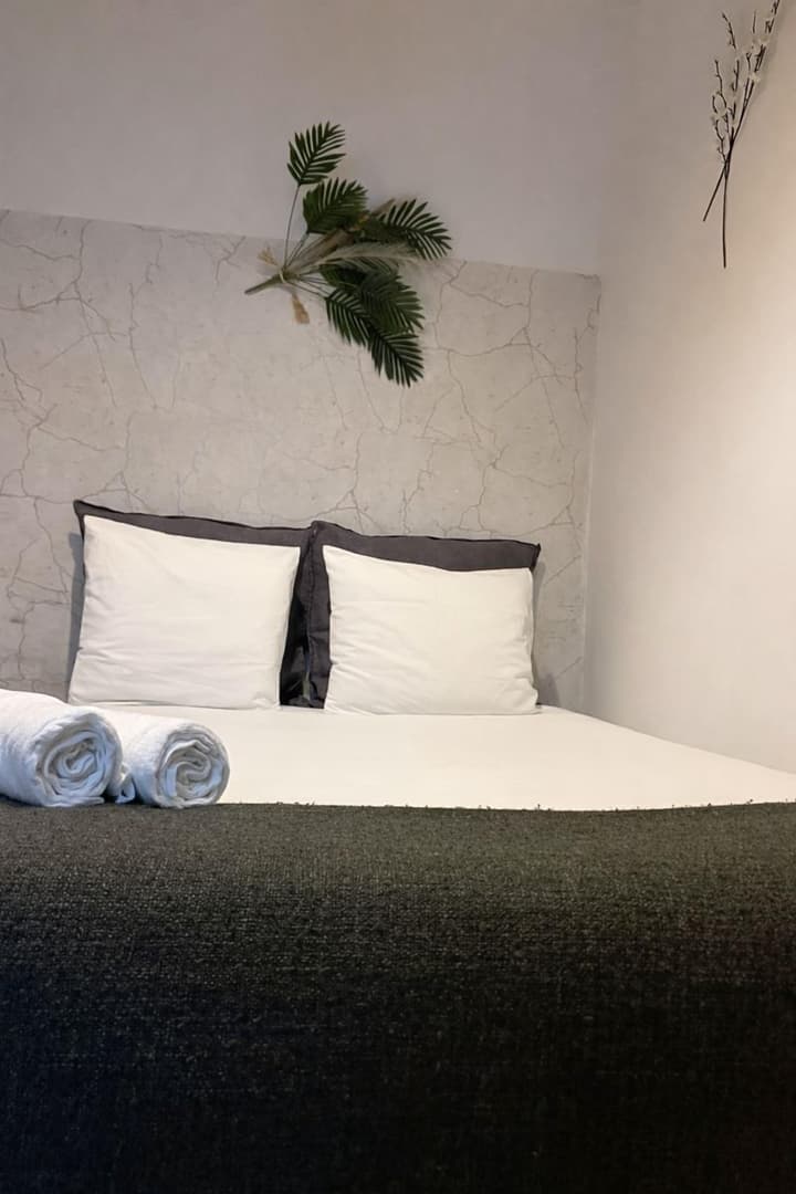 Cactus Host