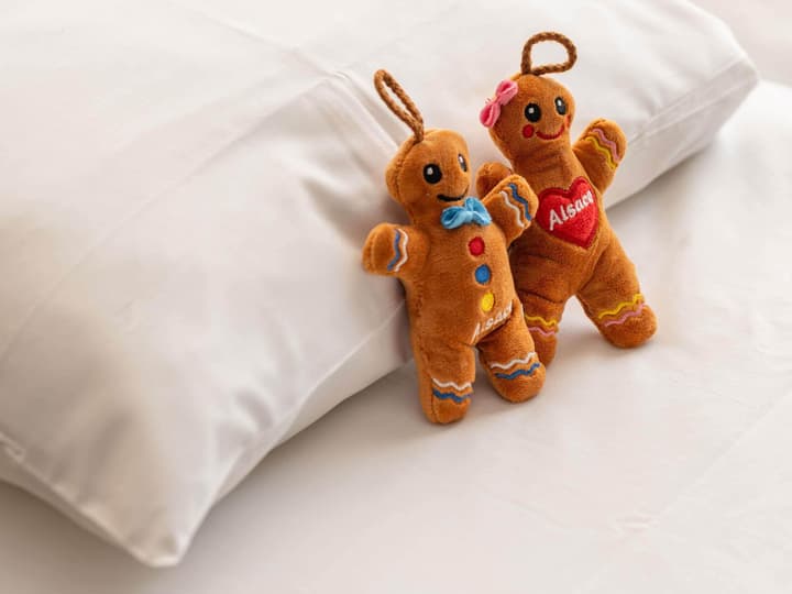 Novotel Suites Colmar Centre