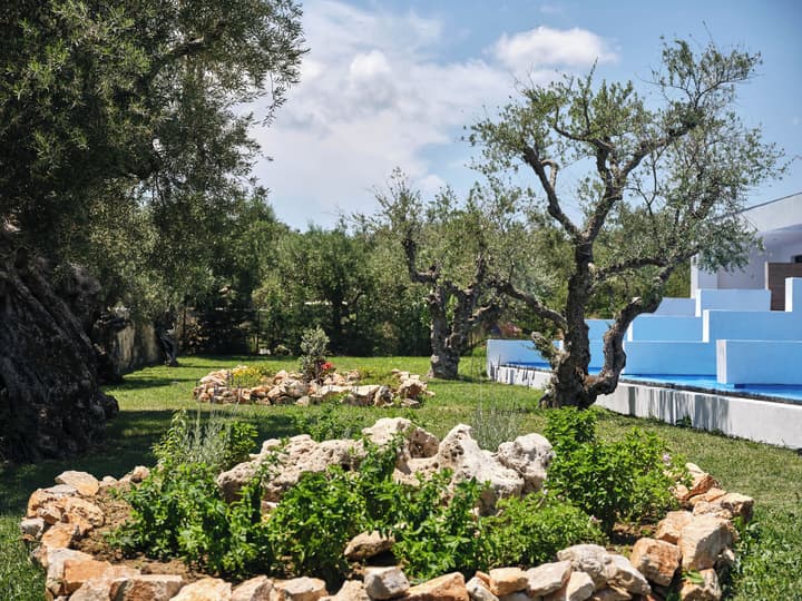 Cavo Orient Beach Hotel