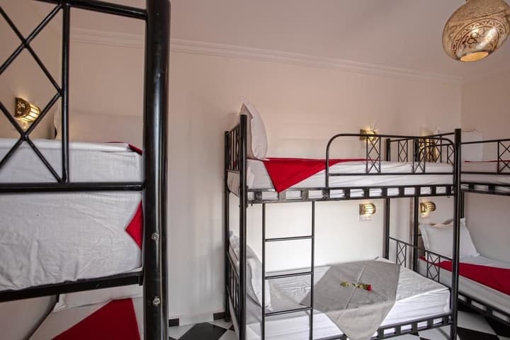 Amour d'auberge - Hostel