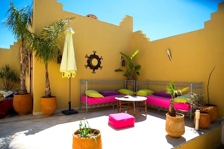 Riad Safir