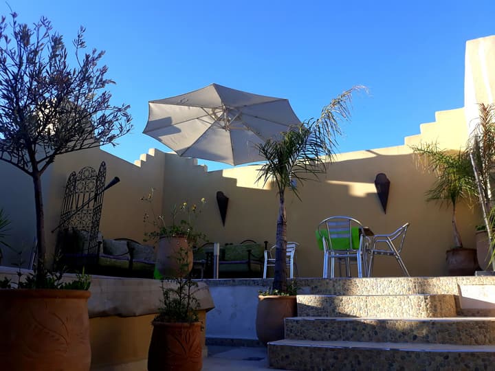 Riad Safir