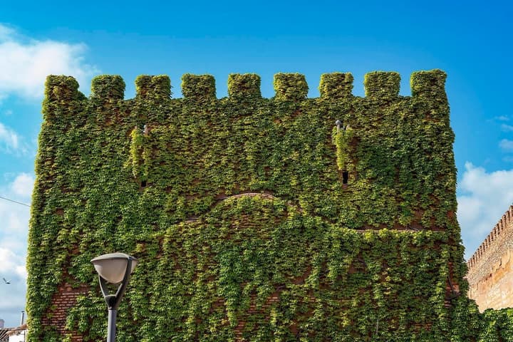 Hotel Castillo de Pilas Bonas