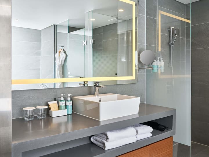 Novotel Ambassador Seoul Dongdaemun Hotels & Residences