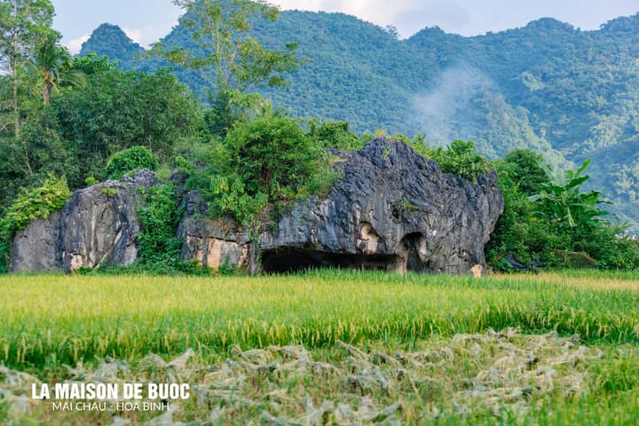 La Maison De Buoc