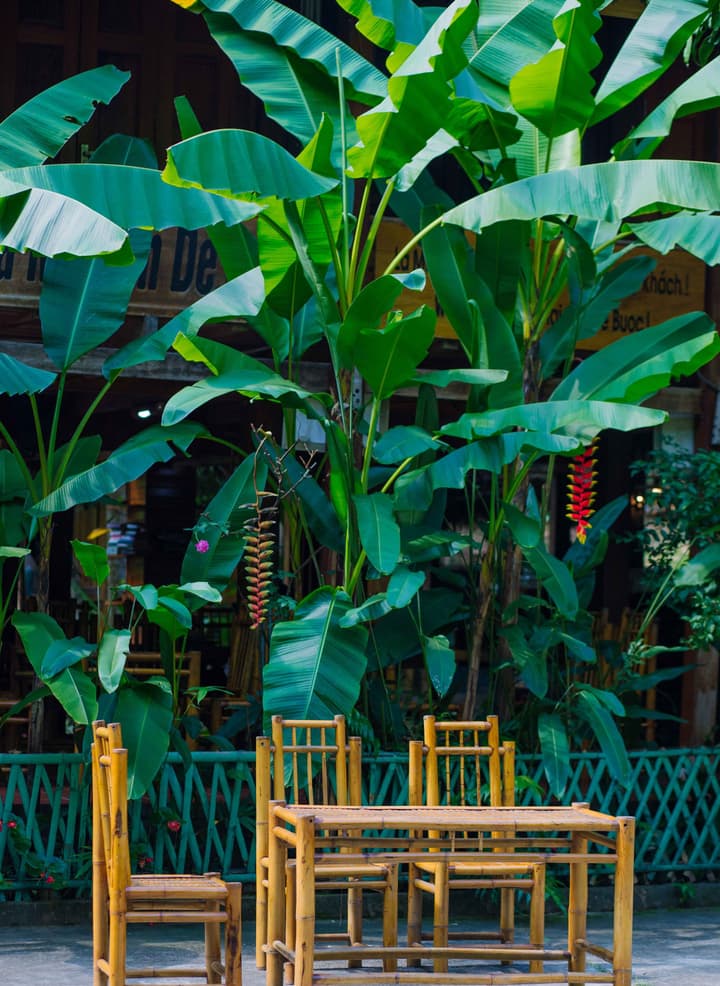 La Maison De Buoc