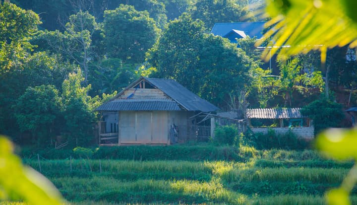 La Maison De Buoc