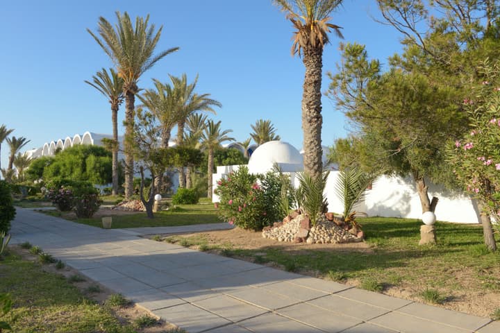 Monarque Dar Jerba Zahra