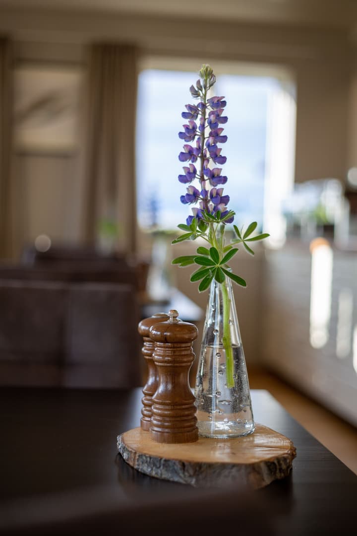 Aurora Lodge Hotel