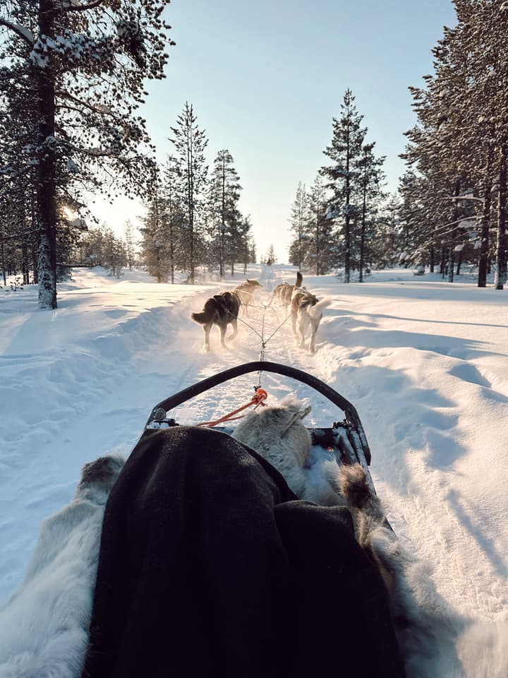 Wilderness Hotel Muotka & Igloos