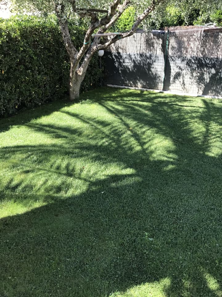 Rispescia