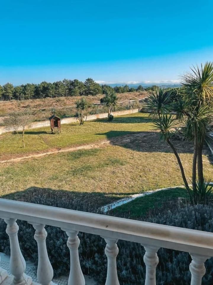Quinta Amarela