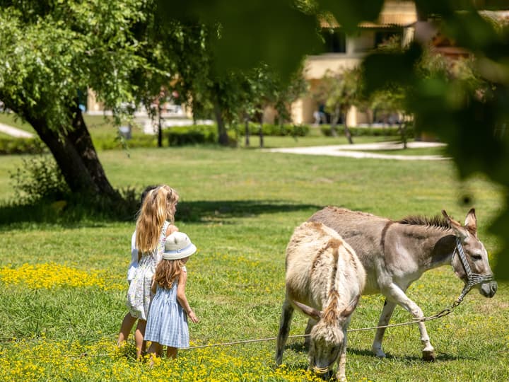 Grecotel LUX ME Costa Botanica