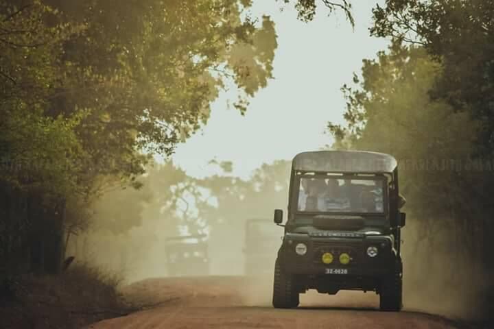 Kottamba Yala Stay & Safari