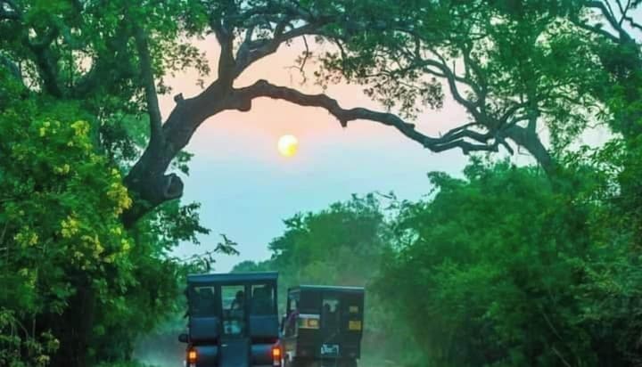 Kottamba Yala Stay & Safari