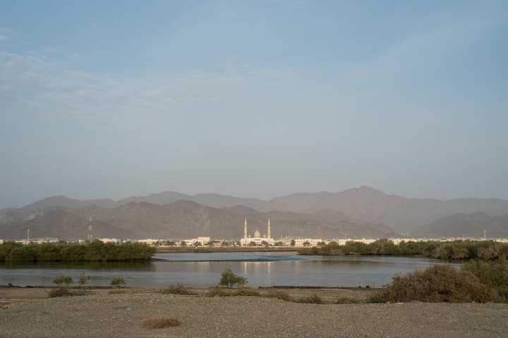 Kingfisher Retreat by Sharjah Collection