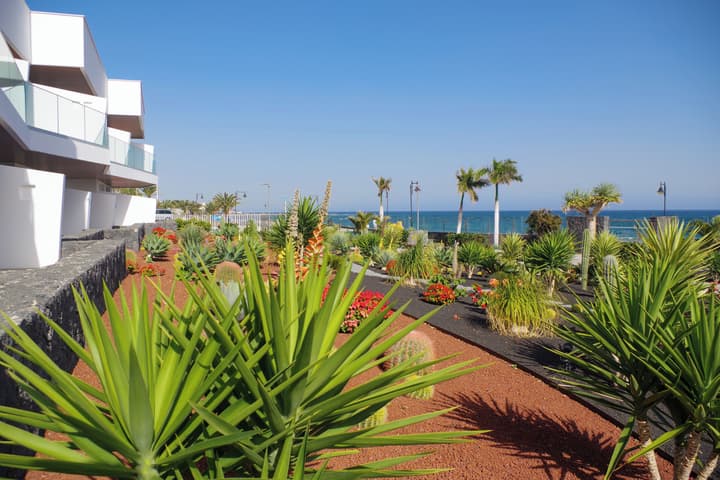 Hotel Lava Beach
