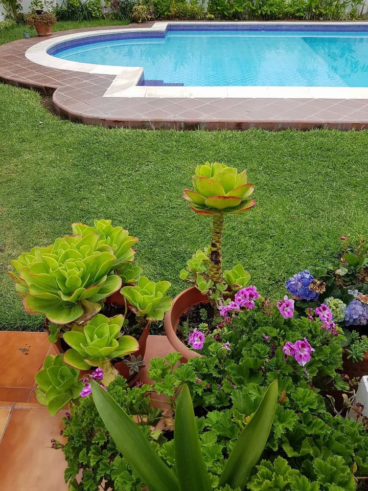 Perla Maya Hotel