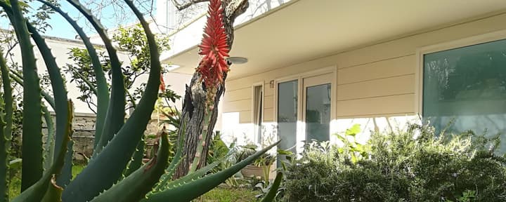B&B Camere Borgo