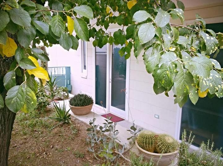 B&B Camere Borgo