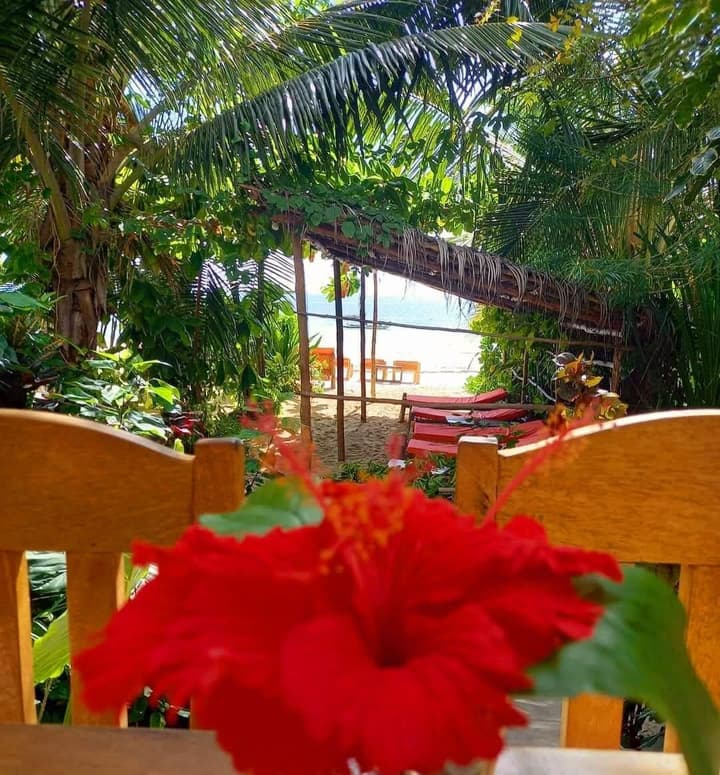 Sipano Beach Lodge Kiwengwa
