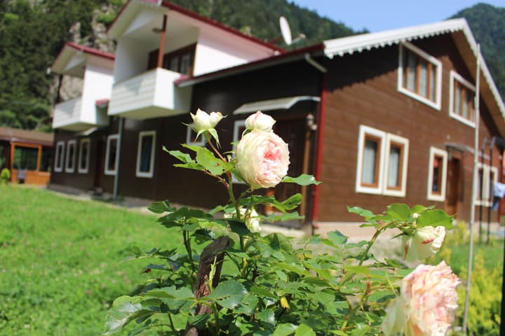 Selale Otel ve Bungalow