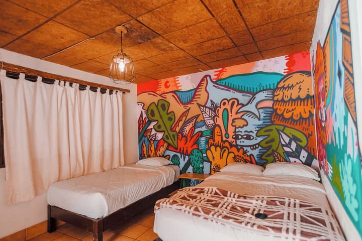 Supertramp Hostel Machupicchu