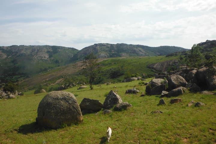 Veki's Village