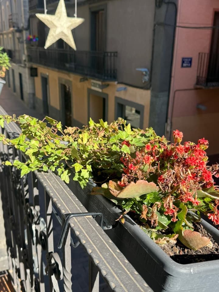 Hotel El Acebo