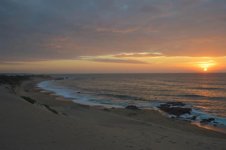 Back of Beyond Dune Camp - Yala