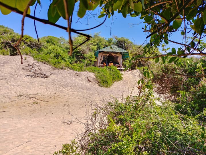 Back of Beyond Dune Camp - Yala