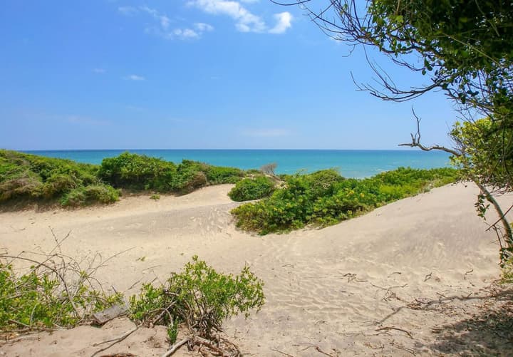 Back of Beyond Dune Camp - Yala