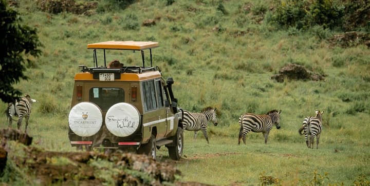 Escarpment Luxury Lodge