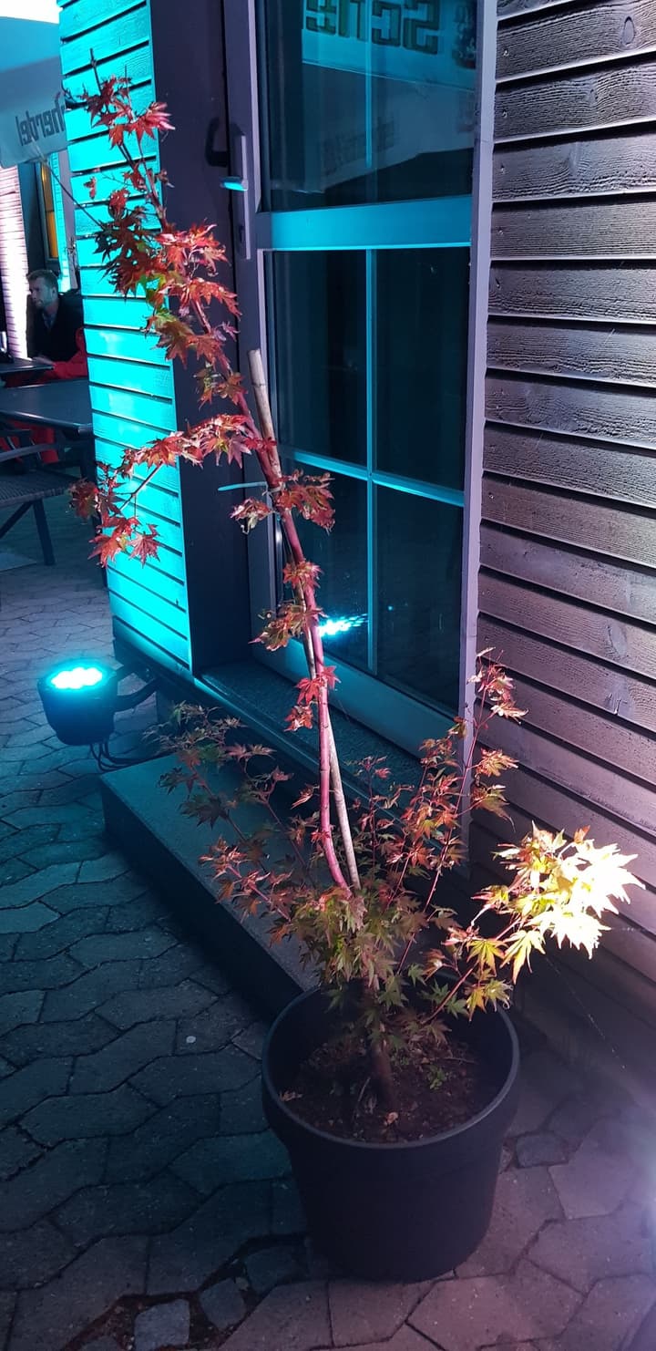 Hotel am Untreusee