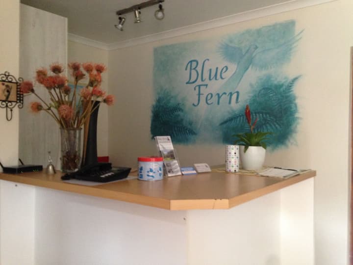 Blue Fern of Knysna
