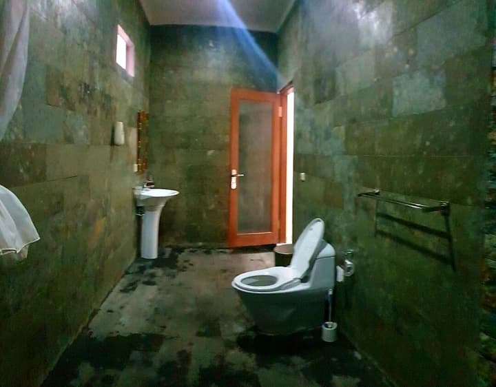 Amed Romance