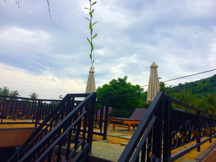 Amed Romance