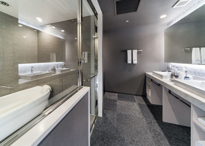 Daiwa Roynet Hotel Nishi Shinjuku PREMIER