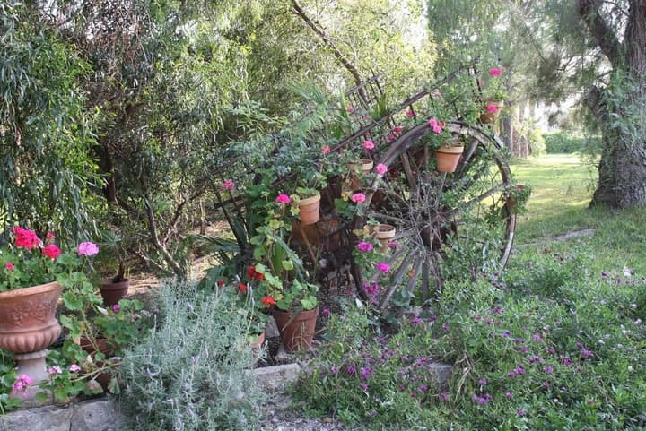 Finca Belon