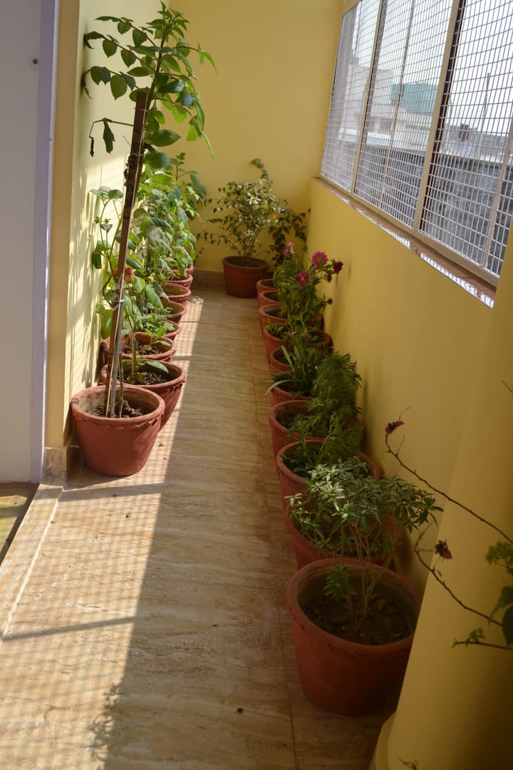 Tara Guest House