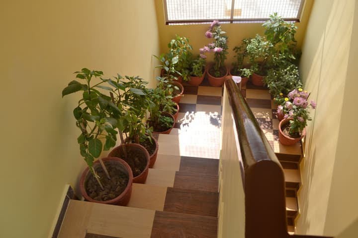 Tara Guest House